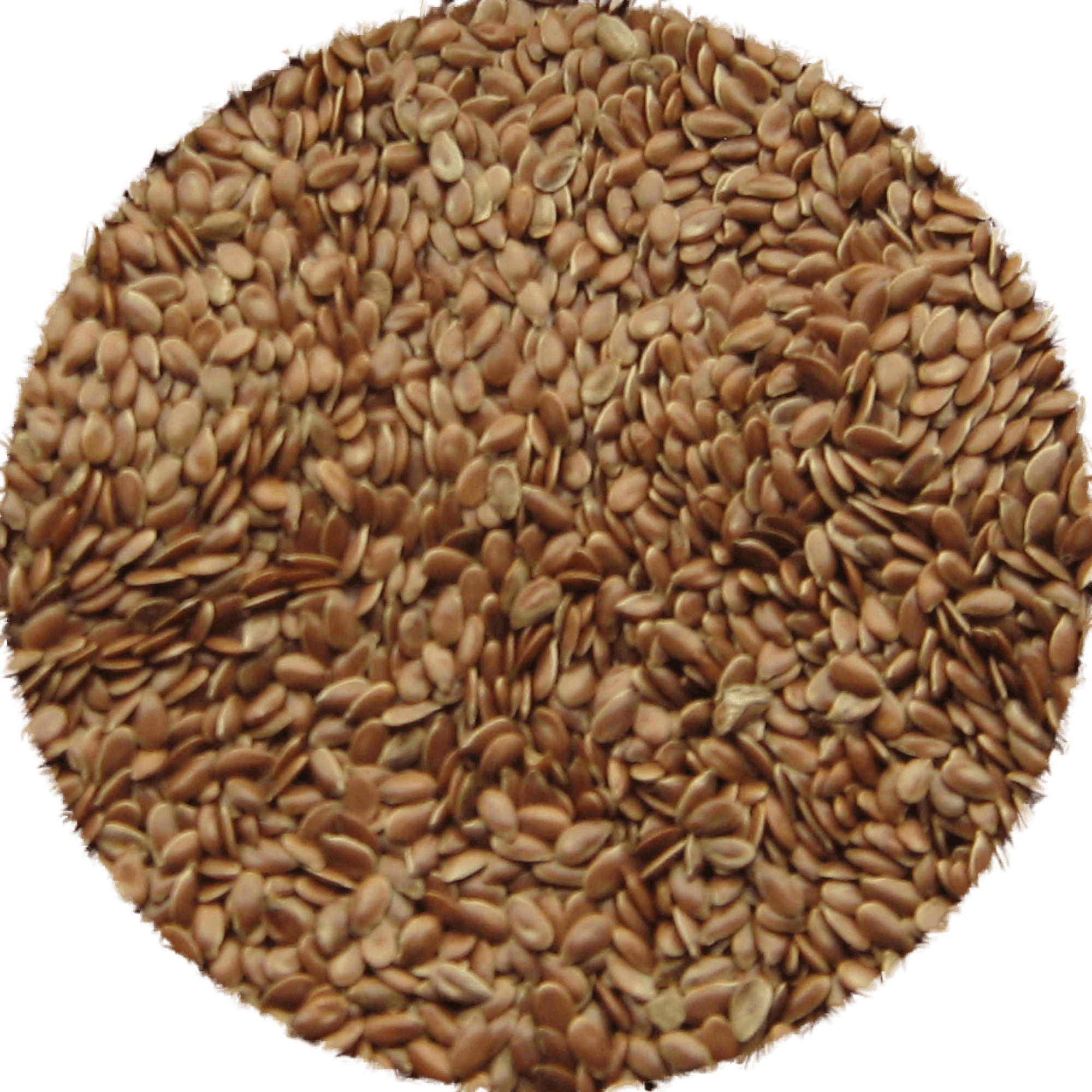 Organic Whole Brown Flaxseed - 350 g
